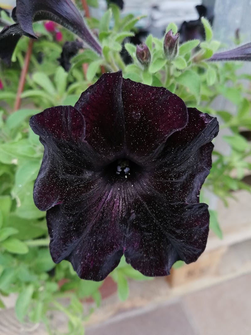 哺乳媽媽適合的身體護理：香港2026安全選擇指南