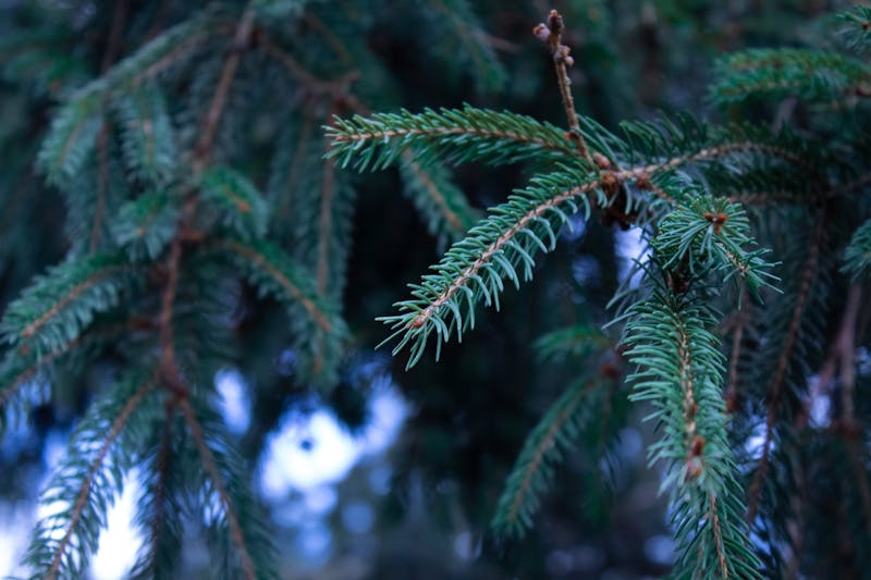 新娘化妝持妝技巧：香港化妝師教你12小時不脫妝
