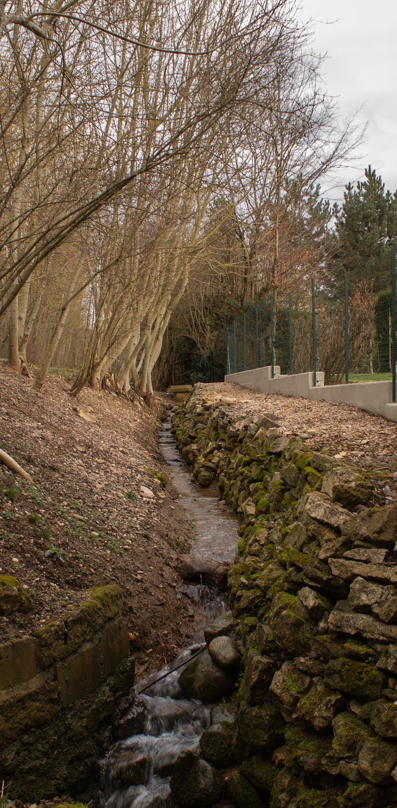 香港正骨撥筋推薦 2026 | 邊間好？價格+服務完整攻略