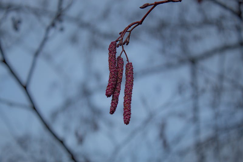 正骨 vs 脊醫：香港病人最常問嘅分別完整解析