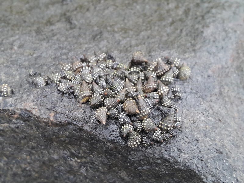 香港日式溫泉SPA推薦 2026 | 岩盤浴/湯療完整攻略