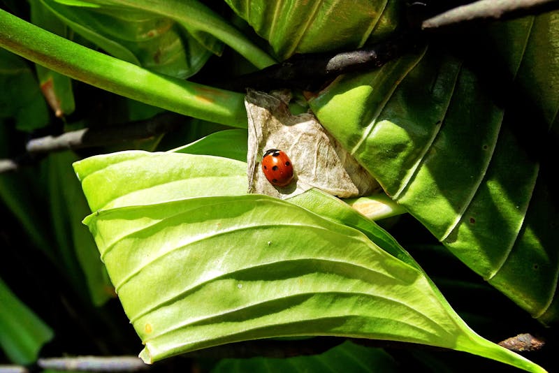 香港抗衰老facial推薦 2026 | 緊緻提升護膚療程完整指南